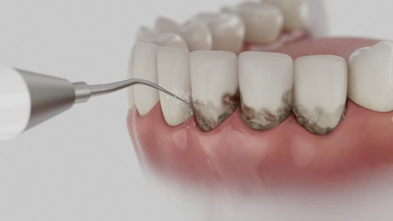 Reliable Dental contractor in Glen Ellyn, IL by Dentist Open Now